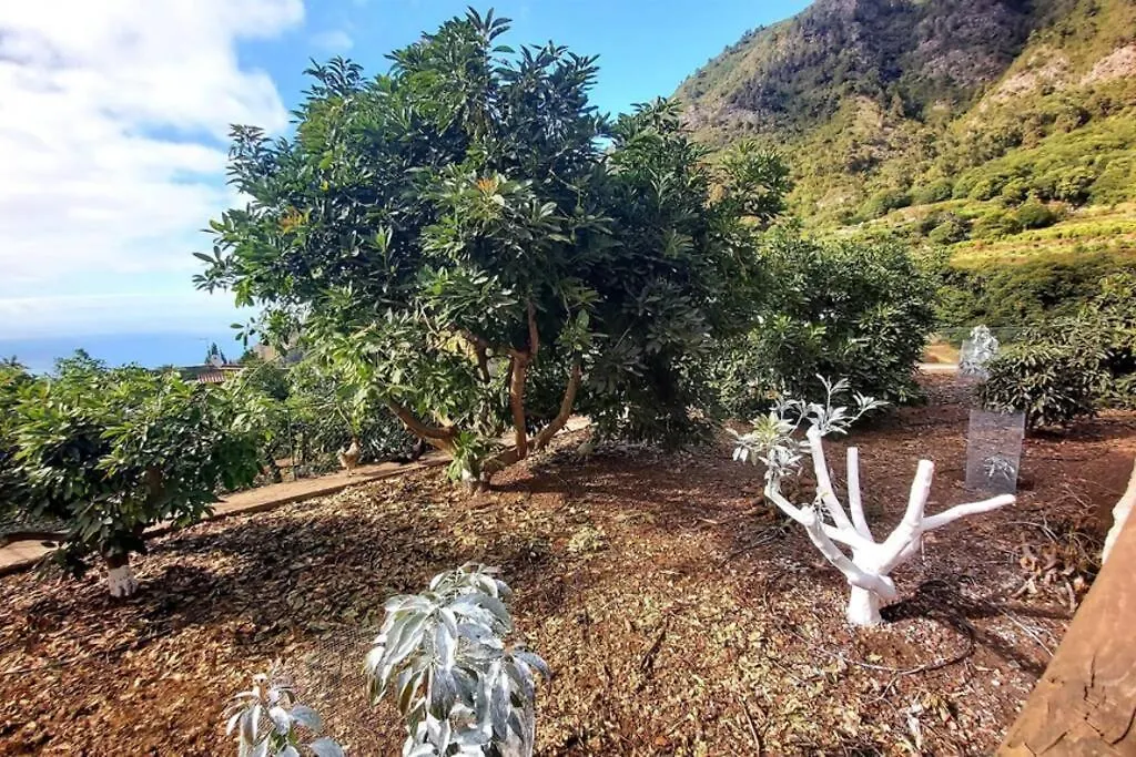 Casa Rural La Resbala - Casa Drago 拉奥罗塔瓦 0*,
